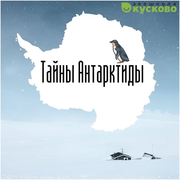 Сотрудники экоцентра в Вешняках рассказали про Антарктиду 