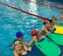 Школа плавания Swimrocket на улице Юности Фото 2 на сайте Veshnyaki24.ru