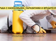 Единая Служба Дезинфекции Фото 7 на сайте Veshnyaki24.ru