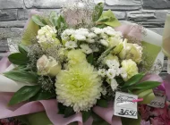 Цветочный магазин Цветок папоротника Фото 1 на сайте Veshnyaki24.ru